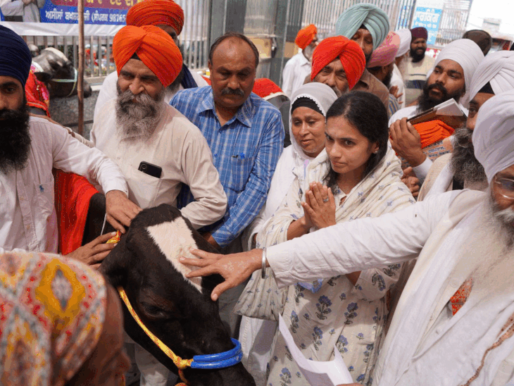 With the help of NGOS, school kits have been distributed to animals and children among the people of the village.