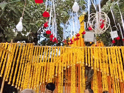 Maa Chintpurni Temple located in Una district decorated for Sharadiya Navratri.