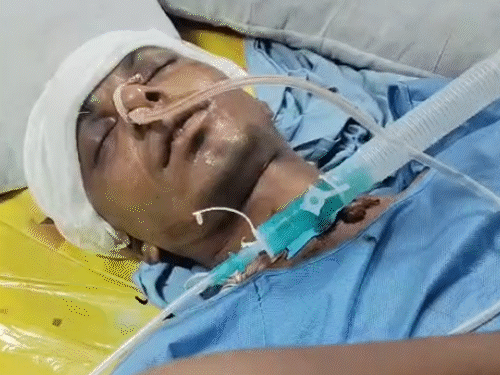 करीब एक महीने तक जयपुर एसएमएस अस्पताल में इलाज चलने के बाद शनिवार को डॉक्टरों ने भीम उर्फ भीमा को छुट्टी दे दी थी।