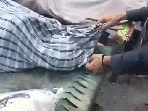 सोशल मीडिया पर वायरल वीडियो में दावा किया गया है कि पाकिस्तानी एयरफोर्स के हमले में करीब 30 लोगों की मौत हुई है। हालांकि इन वीडियोज की पुष्टि नहीं हुई है।