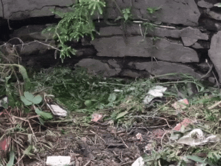 The body of the girl was found in this dry well.
