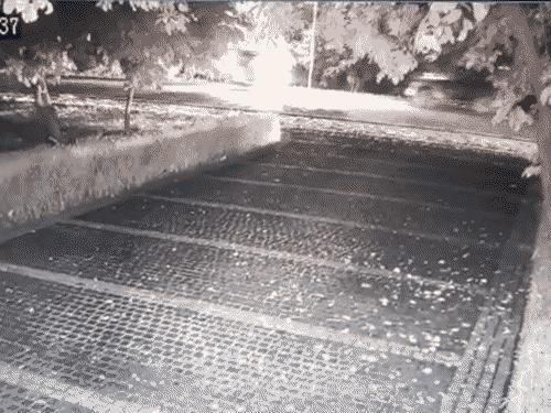 ई-रिक्शा की थार से आमने-सामने टक्कर हो गई। सभी दोस्त ई-रिक्शा में सवार थे।