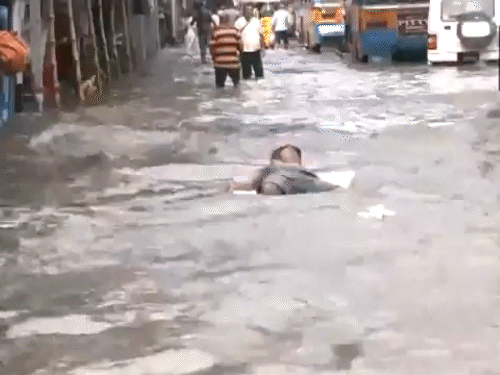 कोलकाता के रवींद्र सदन में पानी से लबालब सड़कों पर एक लड़का गद्दे पर लेटकर खेलता दिखा।