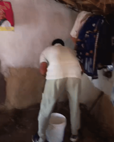 घर में सांप को पकड़ने की कोशिश करती हुई रेस्क्यू टीम।