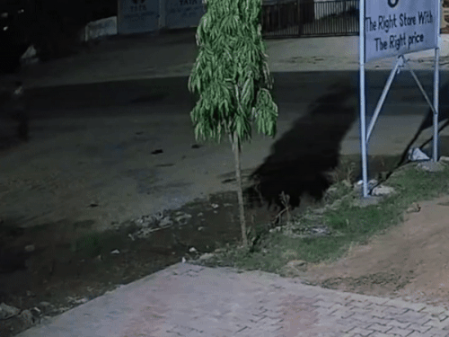 चोर मुख्य सड़क से मार्ट में अंदर आने गेट की कुंजी तोड़ता है।