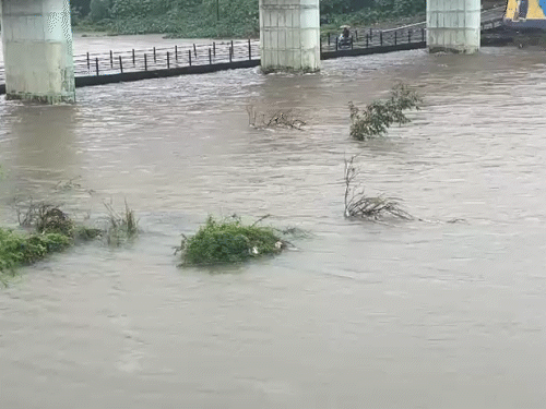 रायगढ़ में लगातार बारिश के बाद केलो डैम के 3 गेट खोले गए हैं जिससे केलो नदी का जलस्तर बढ़ गया है।