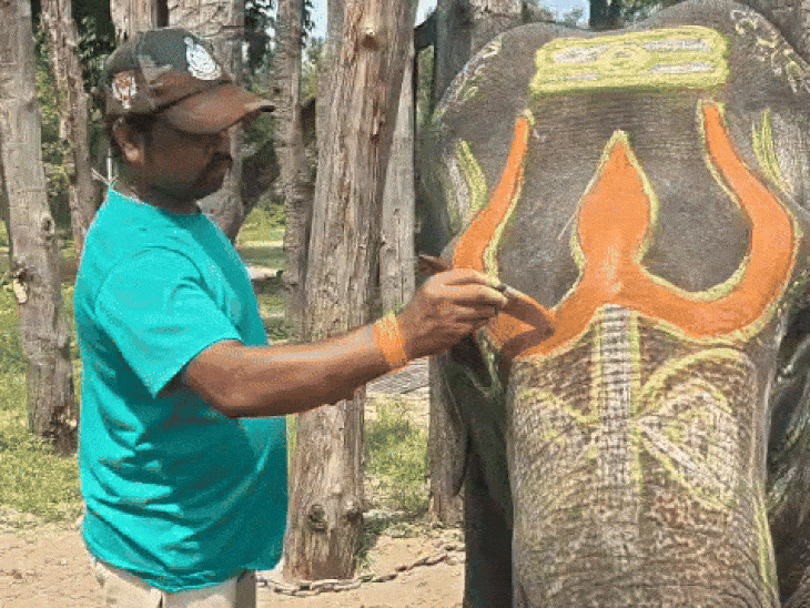 Elephants are made with gulal and vermilion.