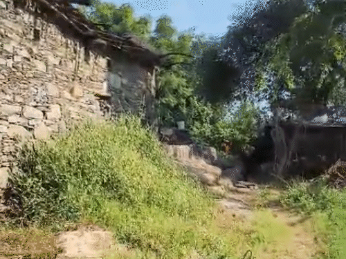 The houses of all people in the township are raw. Due to this, there was no arrangement to teach in the township.