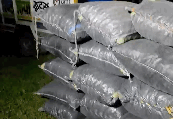 बोलेरो पिकअप में प्लास्टिक के कट्टों में 10 क्विंटल 81 किलोग्राम अवैध डोडा-चूरा तस्करी कर ले जाया जा रहा था।