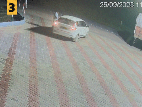 प्रदीप और मानसिंह ने गाड़ी बैक करके विजय को कुचल दिया।