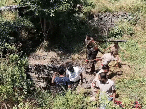 वन विभाग की टीम ने ग्रामीणों के सहयोग से आधे घंटे में रेस्क्यू किया।