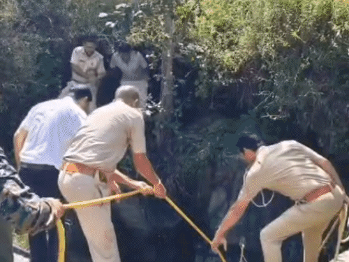 भालू को देसी जुगाड़ से वन विभाग की टीम ने रेस्क्यू किया।