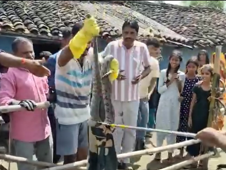 सघन तलाशी में जुटे वनरक्षक और अधिकारी।