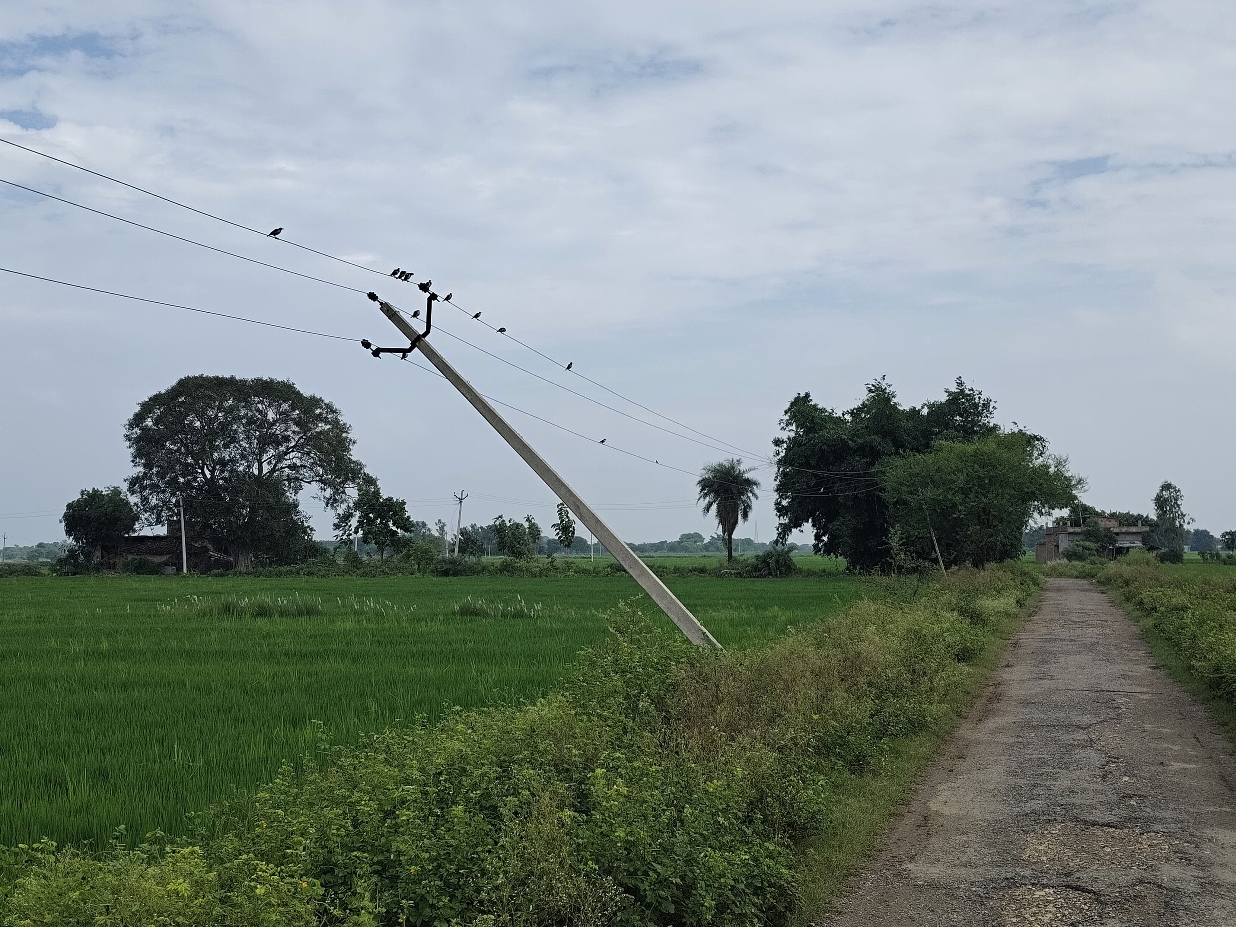 In Sonbhadra, dilapidated wires pose a threat to the lives of farmers ...