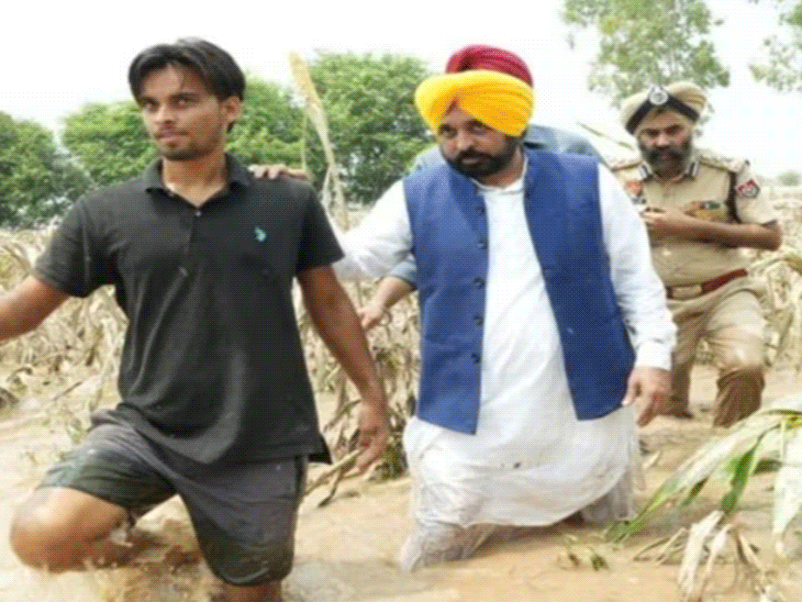 बाढ़ प्रभावित एरिया का जायजा लेने के दौरान मुख्यमंत्री भगवंत सिंह मान। (फाइल फोटो) - Dainik Bhaskar