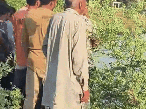 बहादुरगढ़ डाबोदा कलां में यूपी का व्यक्ति जोहड़ में डूबा:  गोताखोरों की टीम लगातार तलाश में, गहराई और कीचड़ से रेस्क्यू अभियान में दिक्कतें – bahadurgarh (jhajjar) News