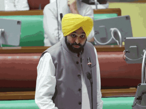 CM Bhagwant Maan keeping his point in the House. File photo