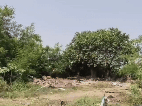 हड्डा रोड़ी की जमीन