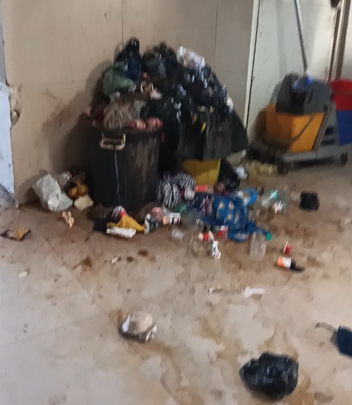 बीते दिन वार्ड में थी इतनी गंदगी