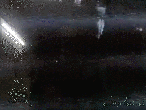 कोरबा जिले में रिटायर्ड SECL कर्मी के घर से 13 लाख की चोरी हुई है। वारदात CCTV कैमरे में कैद हो गई। - Dainik Bhaskar