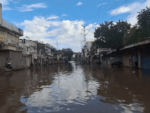 राजस्थान के सीकर में मंगलवार सुबह बारिश के बाद सड़क पर घुटने तक पानी भर गया।