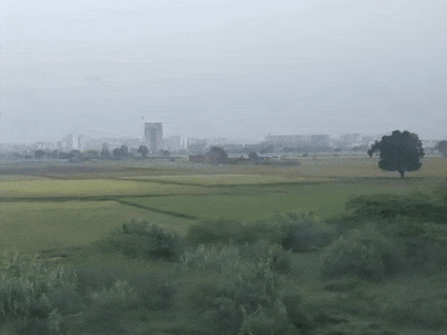 पंजाब-चंडीगढ़ में मंगलवार रात को कई इलाकों में हल्की बारिश हुई।