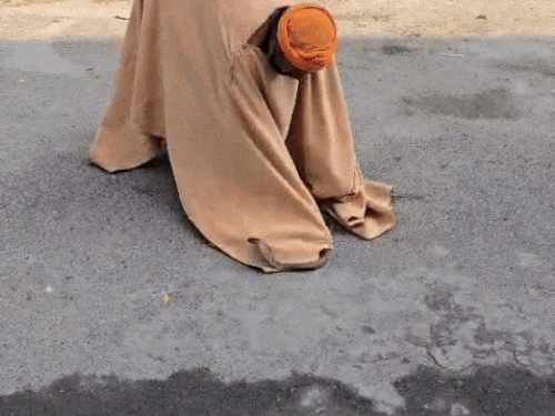 सपेरे द्वारा कब्जे में लिया गया कोबरा सांप। - Dainik Bhaskar