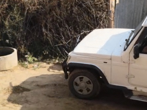 टक्कर के बाद सांड ने उठने की कोशिश की तो युवकों ने गाड़ी से वापस टक्कर मारी।