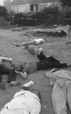 The bodies were taken out of the car and kept on the side of the road.