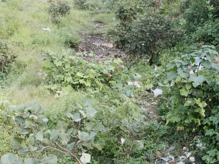 ये सिंचाई विभाग की जमीन है जिस पर कभी नहर बनी थी जो अब पाट दी गई है।