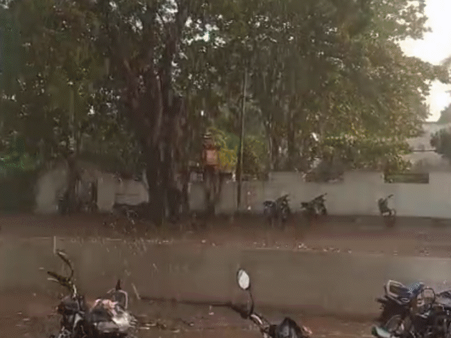 मध्य प्रदेश के नर्मदापुरम में गुरुवार को दशहरे के दिन जमकर बारिश हुई।