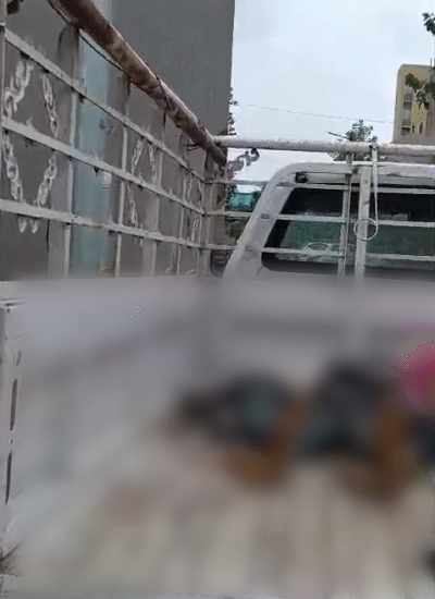 The bodies of all were brought for postmortem by placing it in the pickup.