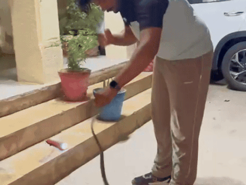 40 मिनट मशक्कत के बाद सांप को काबू में किया।
