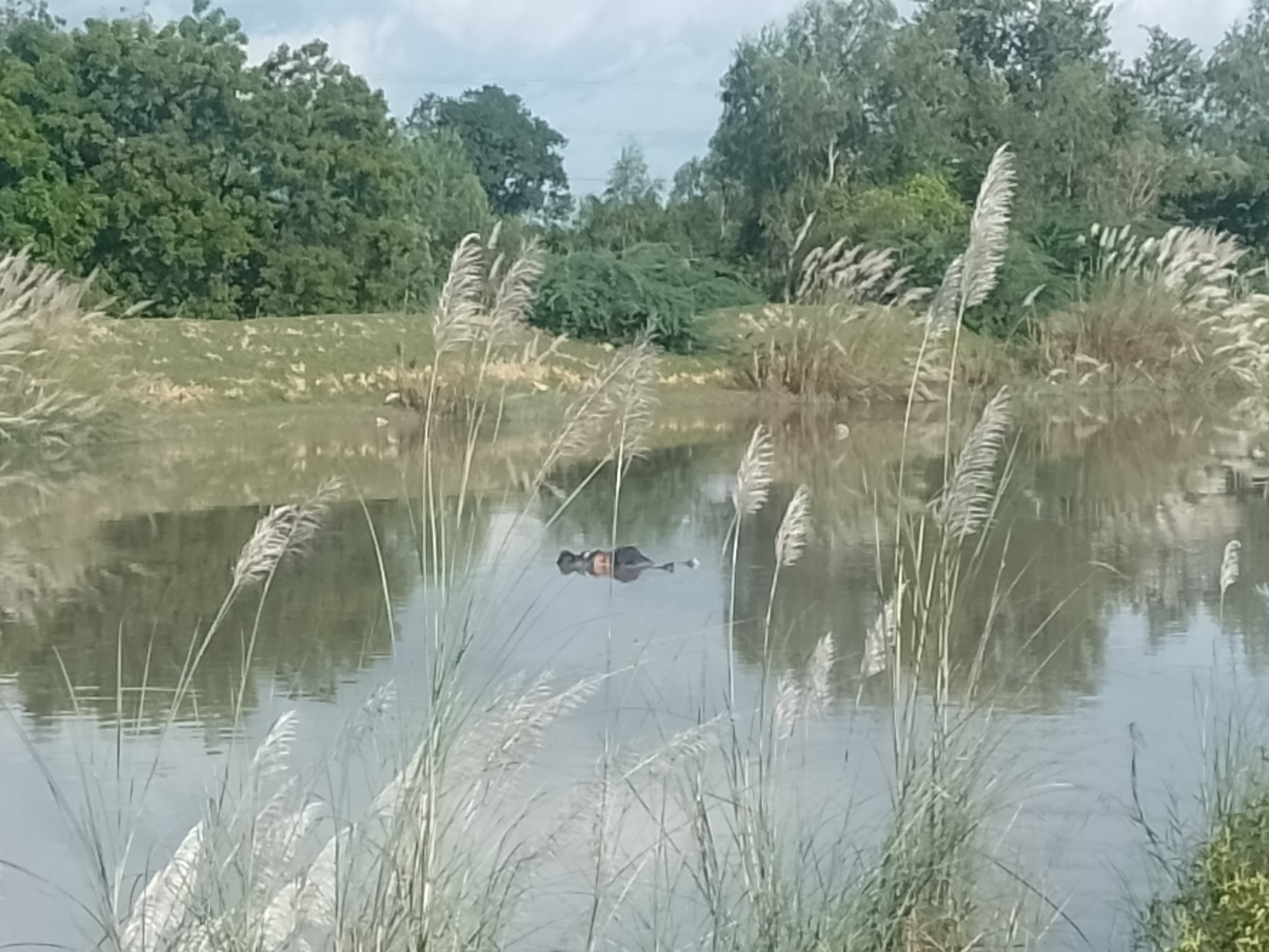 रायबरेली में शारदा नहर में मिला अज्ञात का शव:  ग्रामीणों ने दी पुलिस को सूचना, पोस्टमार्टम के लिए भेजा – Chichauli (Unchahar) News