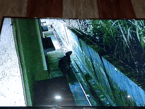 Guldar was seen going towards the forest by closing the college wall.
