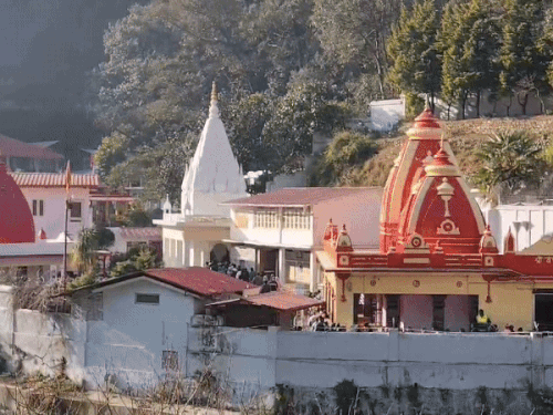 कैंची धाम में पहुंच रहे श्रद्धालु।