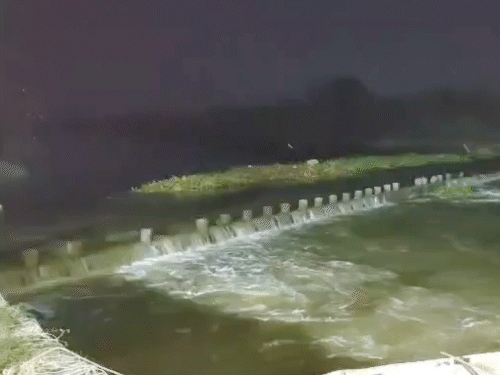 ढाढर-विश्वामित्री नदी का ओवरफ्लो कोजवे, जहां यह हादसा हुआ।