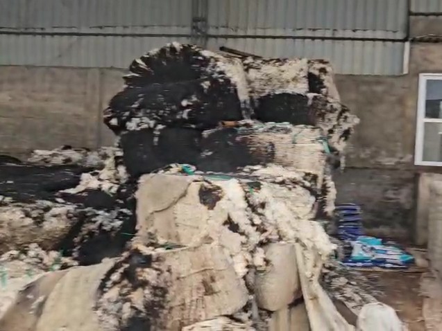 कपास में बार-बार आग सुलगने के कारण दमकलकर्मियों को कड़ी मशक्कत करनी पड़ी।