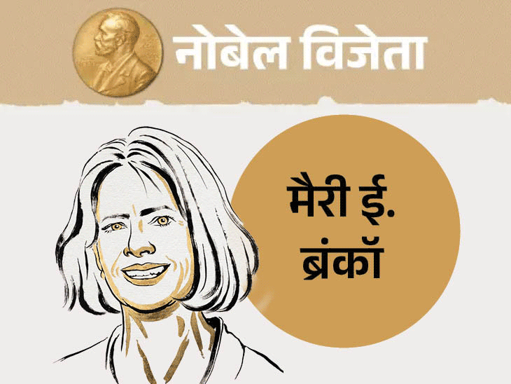 Nobel Prize Medicine 2025 Winners LIVE Update; US Japan Scientist | Immune  System | मेडिसिन का नोबेल 3 वैज्ञानिकों को, इनमें 1 महिला: इम्यून सेल के हमले  रोकने वाली T-कोशिकाएं ...