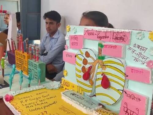 जिले के 319 बाल वैज्ञानिक दिखाएंगे अपना नवाचार