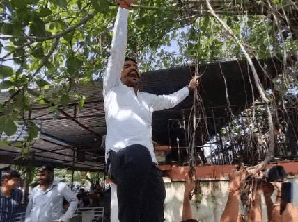 कलेक्ट्रेट के गेट पर चढ़कर नारेबाजी करते हुए युवक।