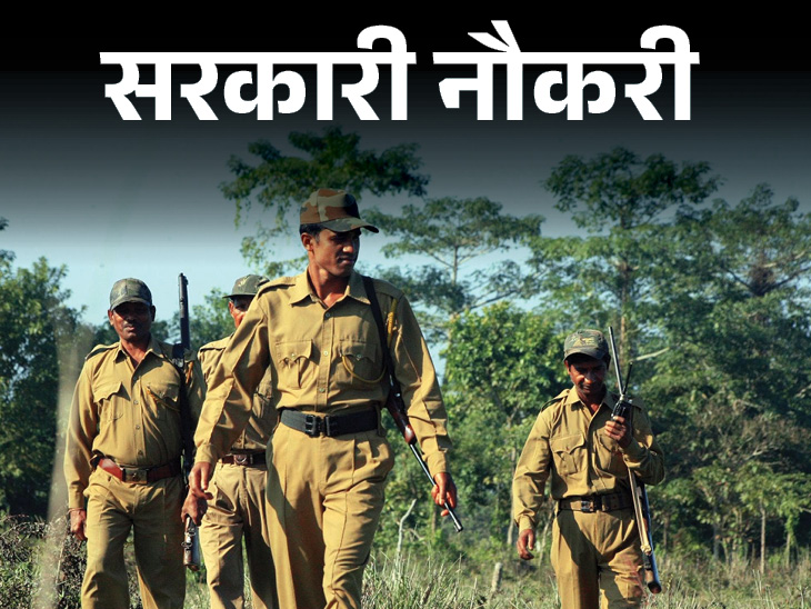 फॉरेस्ट गार्ड परीक्षा का रिजल्ट जारी, तुरंत चेक करे नाम