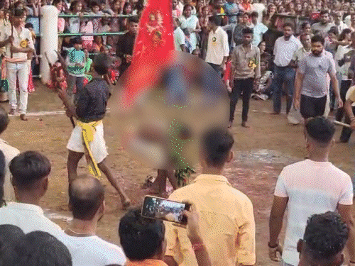 रायगढ़ में बकरों की बलि चढ़ाने के बाद बैगा खून पी गया। बलि चढ़ाने और खून पीने का वीडियो सामने आया है। - Dainik Bhaskar