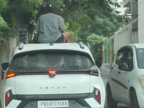 A video of both the students sitting on the Nexon car, in which obscene acts are being done.