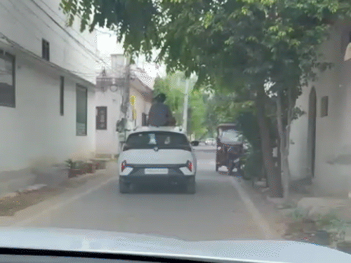 Foreign students doing romanced on the roads and romancing it.