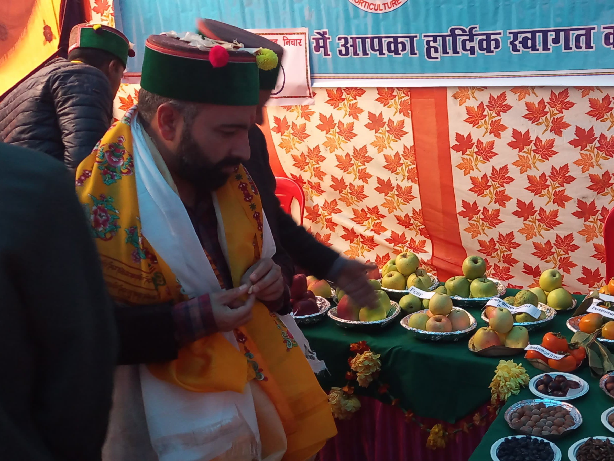 उत्सव में लगाए गए स्टॉलों को देखते अधिकारी व आगंतुक।