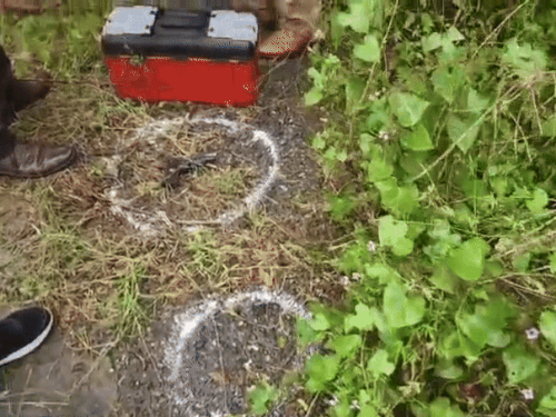 पुलिस द्वारा आरोपी से बरामद किया गया अवैध हथियार। - Dainik Bhaskar