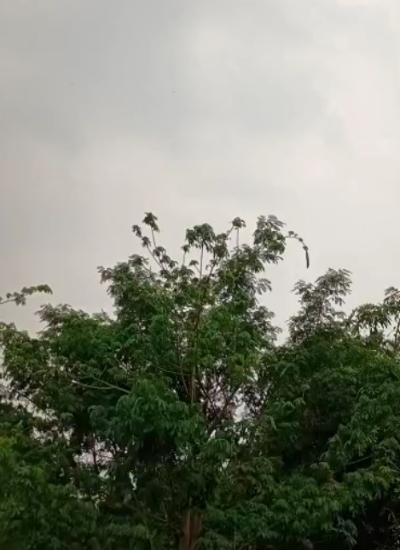 झारखंड में अभी छाए रहेंगे हल्के बादल:  3 से 4 दिनों में मानसून के लौटने के आसार, सात दिन में हुई सामान्य से 122% अधिक बारिश – Ranchi News
