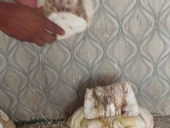बूढ़ी माता मंदिर में सोमवार सुबह खंडित मूर्तियां मिली थीं।