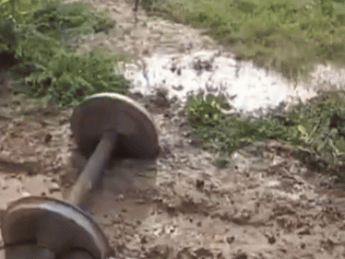 व्यवस्थाएं पटरी पर लौट आने के बाद रेल सेवा होगी बहाल।